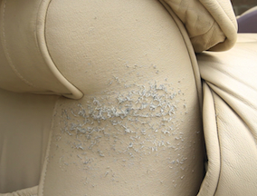 How To Fix Cat Scratch On Leather Couch – COZY Living