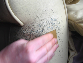 How to Repair Cat Scratches on Leather